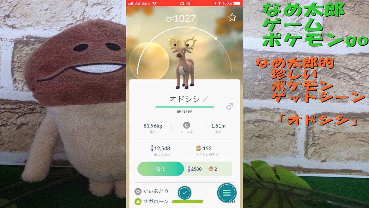 【ポケモンgo】なめ太郎的、珍しいポケモンゲットシーン「オドシシ」