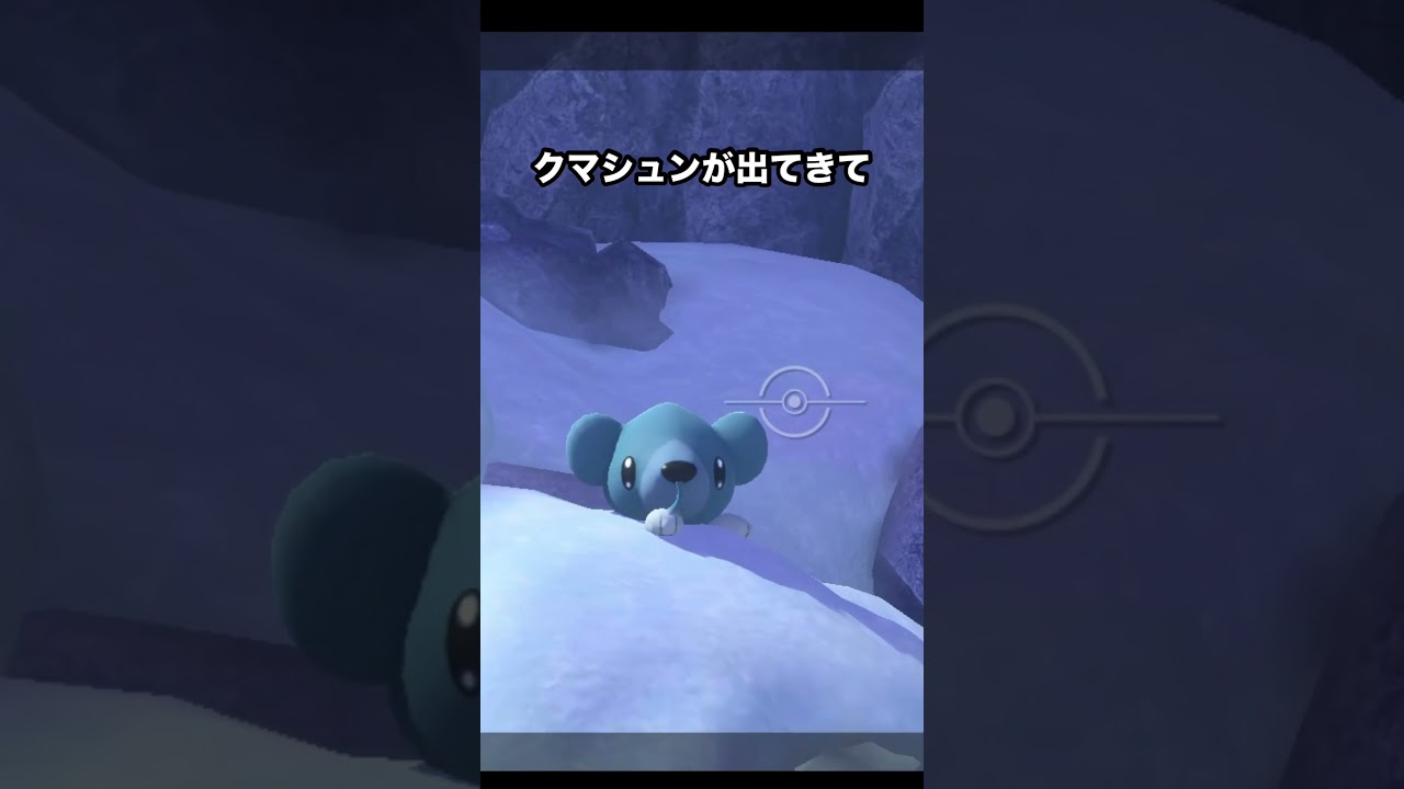 クマシュンとツンベアーの親子愛　#ポケモン #newポケモンスナップ