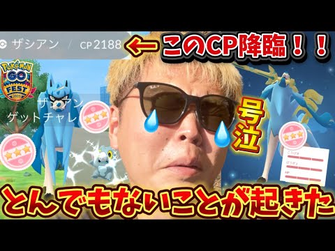 色違い背景ザシアン大量出現！！個体値100%もまさかの降臨！！【GOFest2025グローバル】【ポケモンGO】