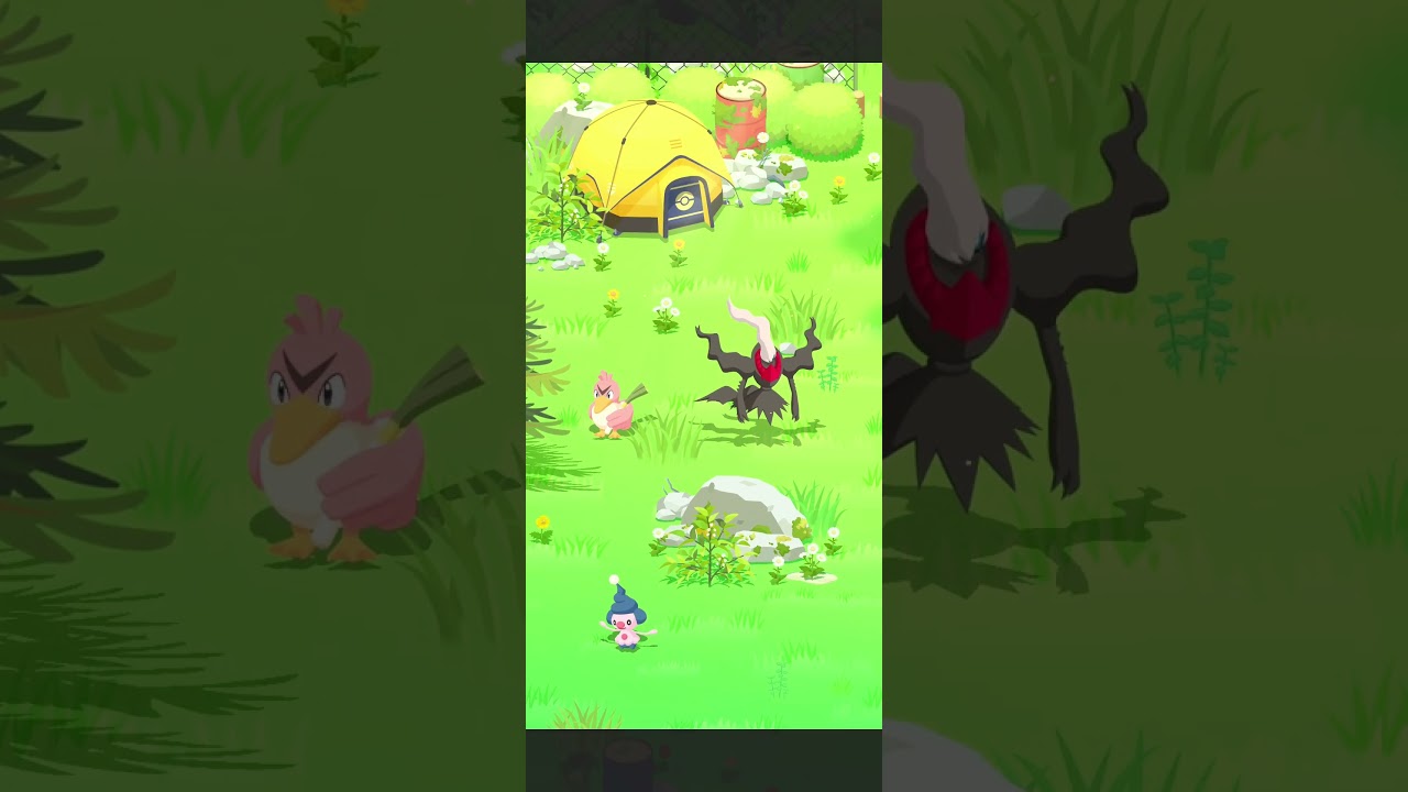 サマーフェスティバル：２日連続での色違いカモネギ！！【ポケスリ】  #ポケモンスリープ #サマーフェスティバル