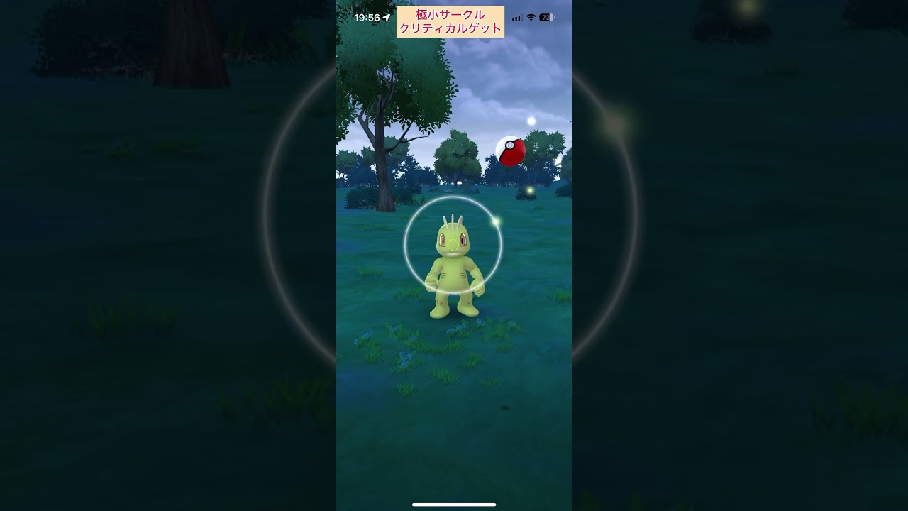 【難易度低】色違いワンリキー極小サークルクリティカルゲット【ポケモンGO】