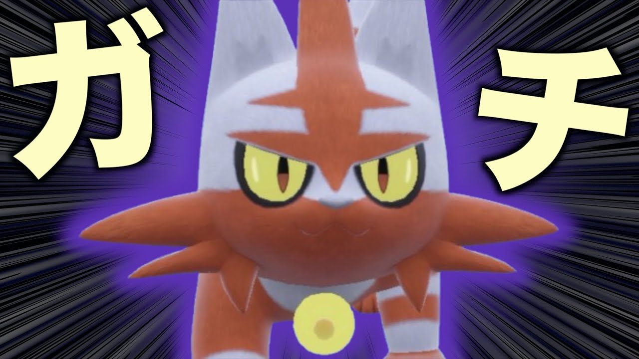 この環境でガオガエンに進化し忘れた『ニャヒート』が案外強い【ポケモンSV実況】