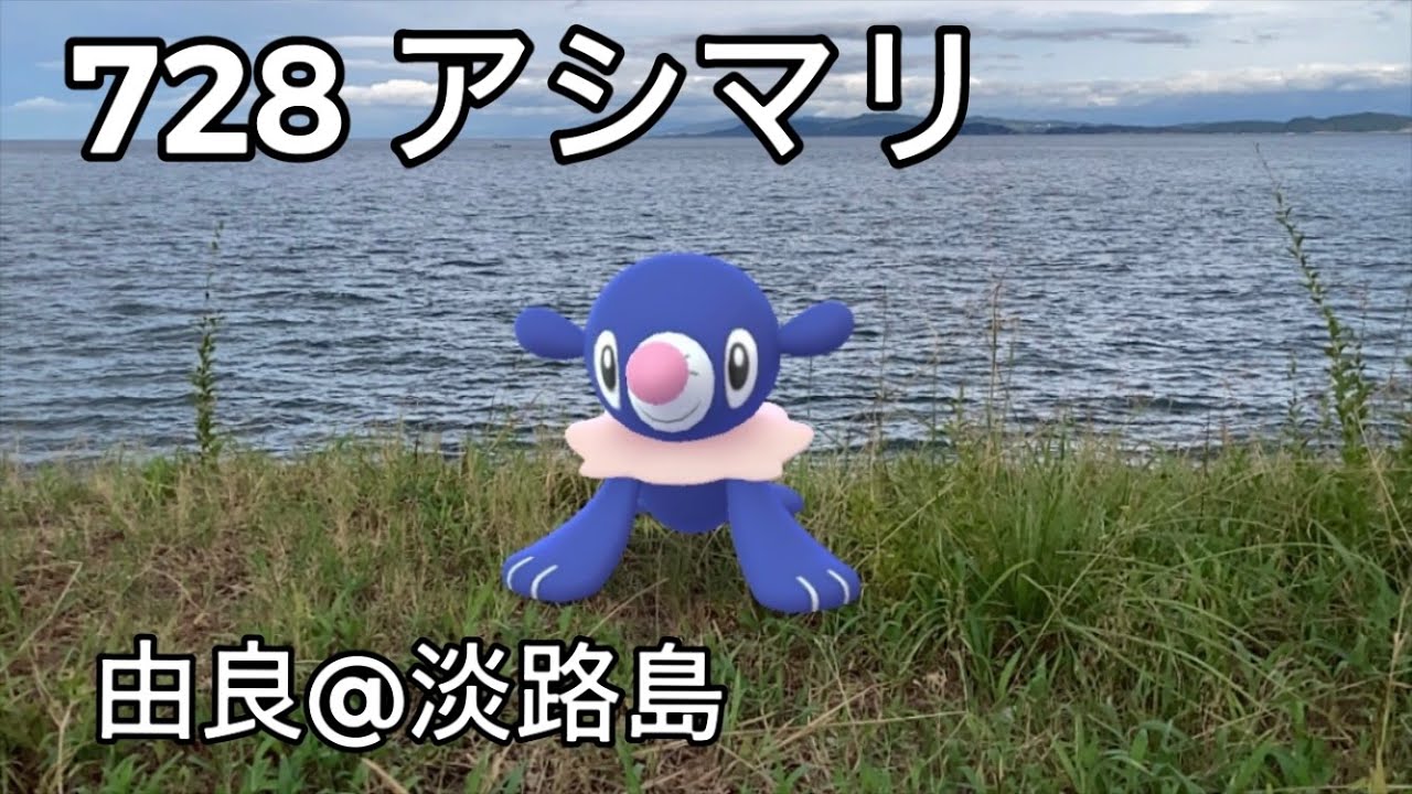 【ポケGO動くポケモンずかん】728アシマリ｜Popplio｜ShinyPokémon【ポケモンGO】PoKeMoN GO AR｜AR動画｜GOsnapshot｜PokemonGO｜淡路島