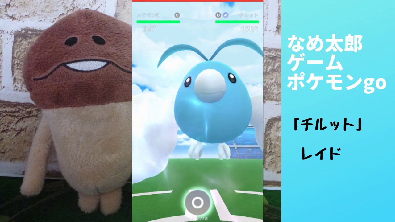 なめ太郎の今日のレイド「チルット」ゲットだぜ。【ポケモンgo】