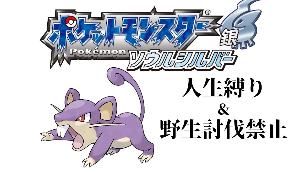 38日目!!この縛りの最適解はコラッタ！【ソウルシルバー】#ポケモン #ポケモン金銀 #ソウルシルバー＃人生縛り