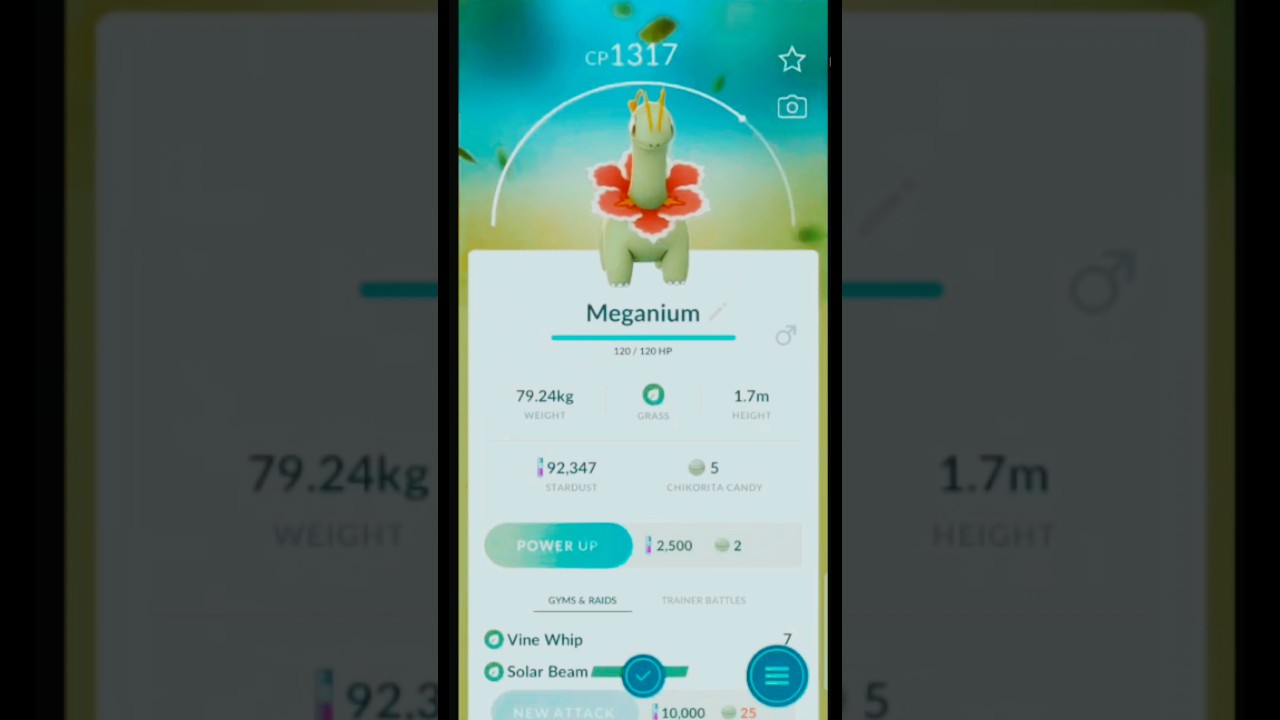 evolution of bayleaf into meganium  short  video #shorts  #shortsfeed  #pokemoncards