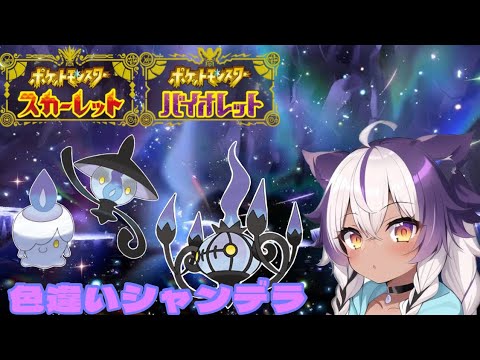 【ポケモンSV】色違いヒトモシ → ランプラー → シャンデラ【ポケットモンスタースカーレットバイオレット】