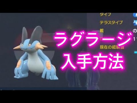 【ポケモンSV】【藍の円盤】ラグラージ入手方法