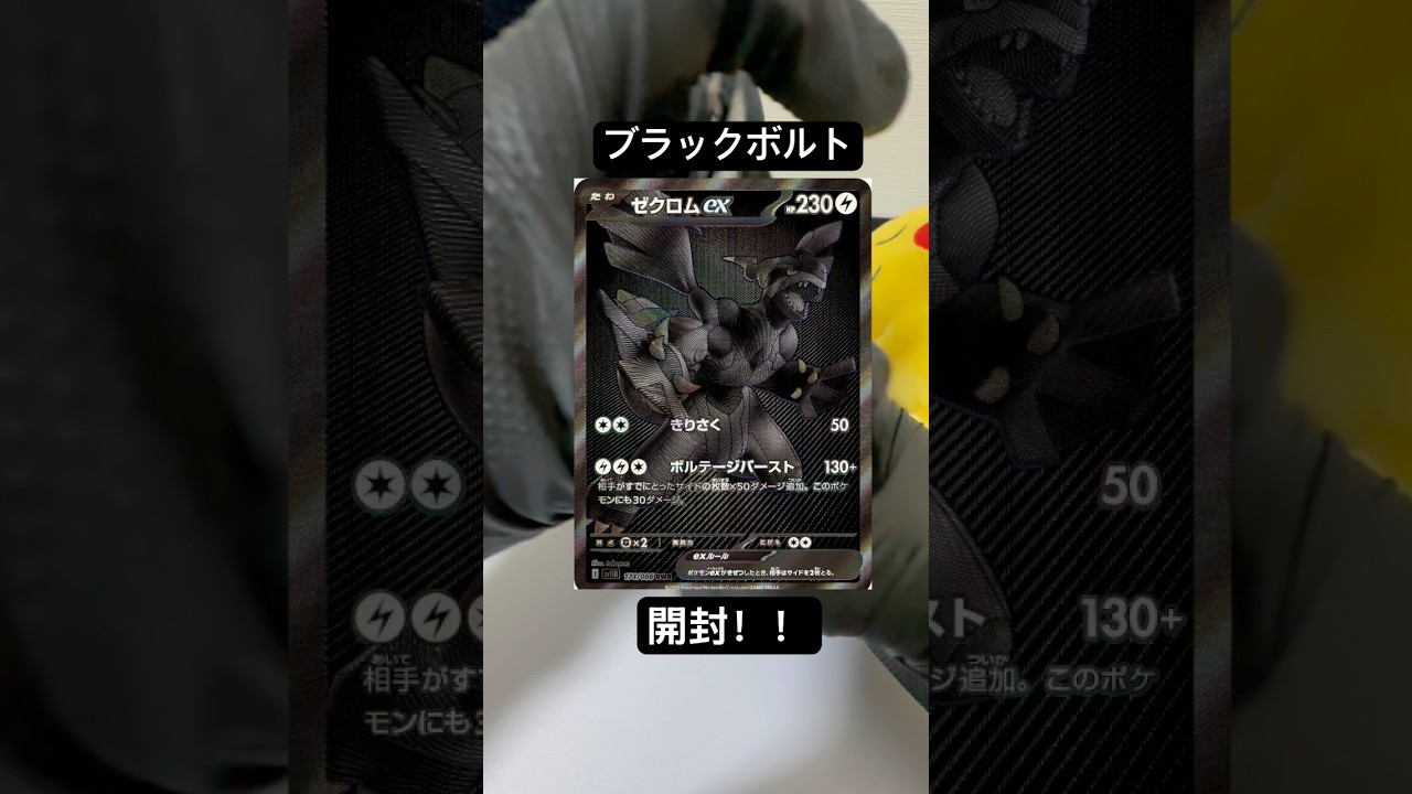 ゼクロム狙ってくぞー！ブラックボルト開封！#ポケモンカード #ポケカ再販最新情報 #ポケカ #ポケモン #ポケカ開封 #ホワイトフレア#shorts #short