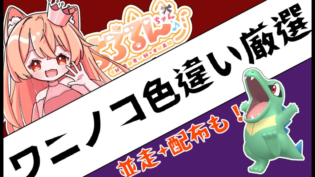 配布もあるよ！ZAに備えて色違いワニノコ厳選しよ！👑🐈🦕【ポケモンSV】