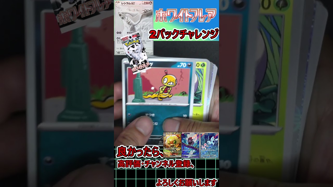 【ポケモンカード】レシラムex BWRがどうしても欲しいぃぃぃぃ！！！！ホワイトフレア　2パックチャレンジ！！！！！！！＃6【開封動画】#Shorts #neiruチャンネル