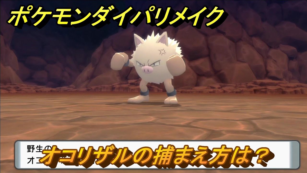 ポケモンダイパリメイク　オコリザルの捕まえ方は？出現場所は？　最新版【ブリリアントダイヤモンド・シャイニングパール】