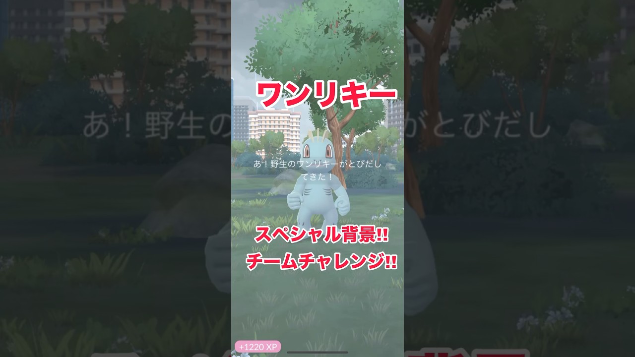 ワンリキースペシャル背景!!チームチャレンジ!!#shorts #pokemongo