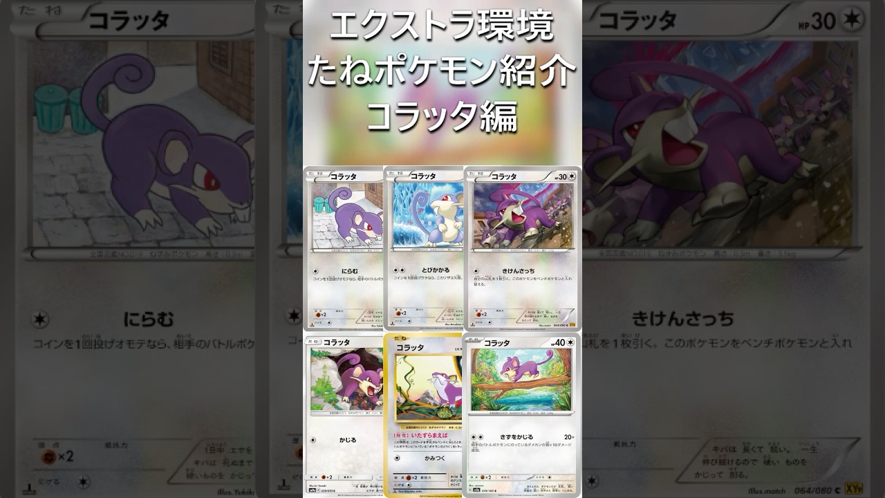 【ポケカ/エクストラ】エクストラおすすめたねポケモン紹介 コラッタ編  #shorts #ポケモンカード #コラッタ #pokemontcg #エクストラバトルの日
