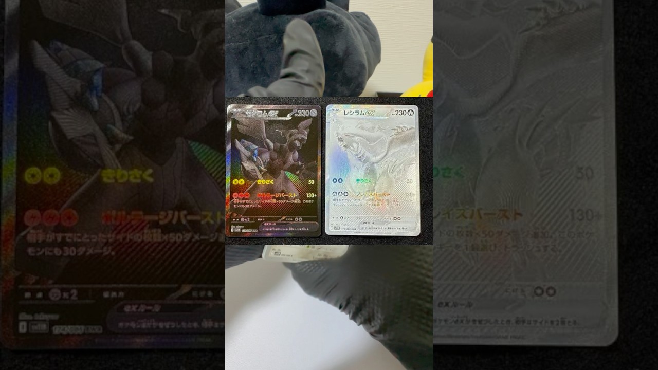 ゼクロム、レシラム狙ってくぞ！ポケモンカード　開封！　#ポケモンカード #ポケカ再販最新情報 #ポケカ #ポケモン #ポケカ開封 #pokemon #ホワイトフレア #ブラックボルト