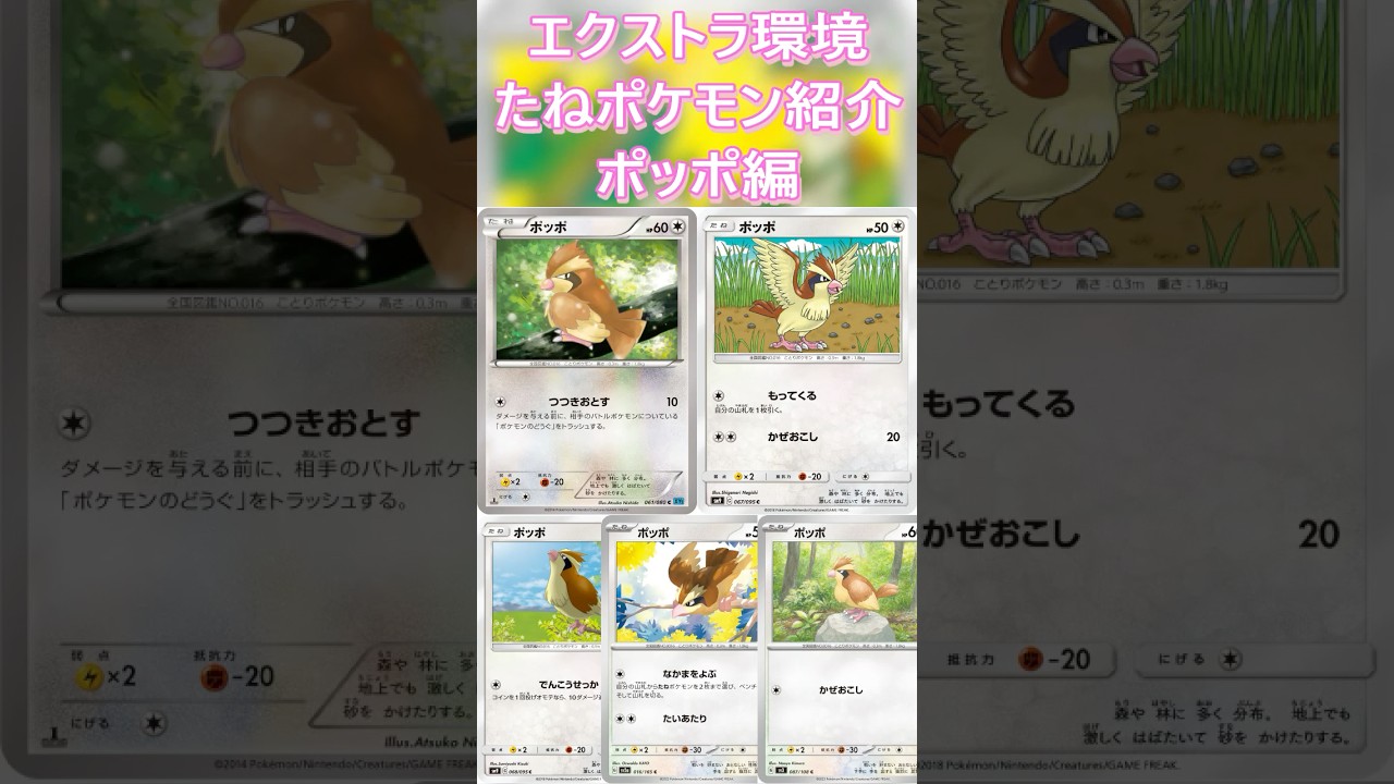 【ポケカ/エクストラ】エクストラおすすめたねポケモン紹介 ポッポ編  #shorts #ポケモンカード #ポッポ #pokemontcg #エクストラバトルの日