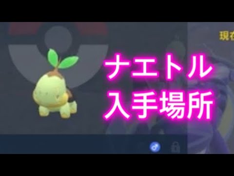 【ポケモンSV】【藍の円盤】ナエトル入手場所