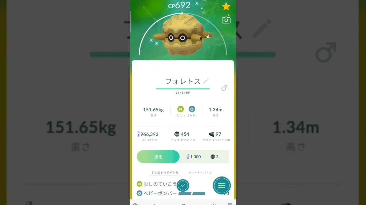 色違い　クヌギダマからフォレトスに進化　ポケモンGO
