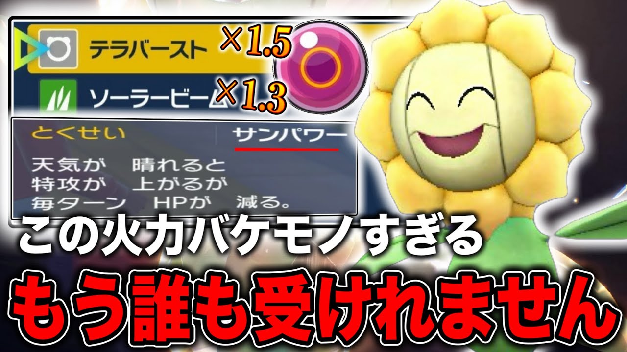 たぶん誰よりもキマワリを使いこなせる最強サンパワー構築完成しました！！【ポケモンSV】