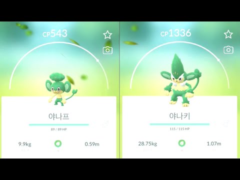 포켓몬고 야나프 진화 야나키 Pansage Simisage Pokémon GO