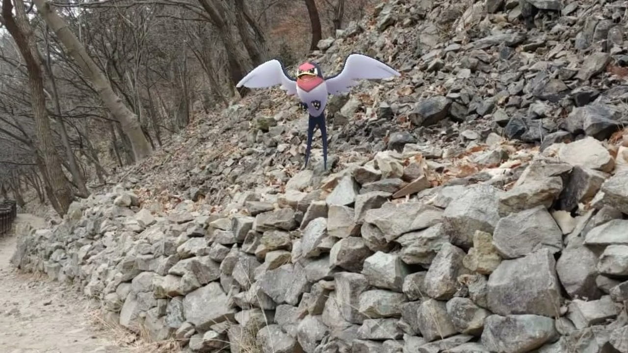 [GO Snapshot Slideshow] 테일로 ( Taillow ) スバメ ( 傲骨燕 )