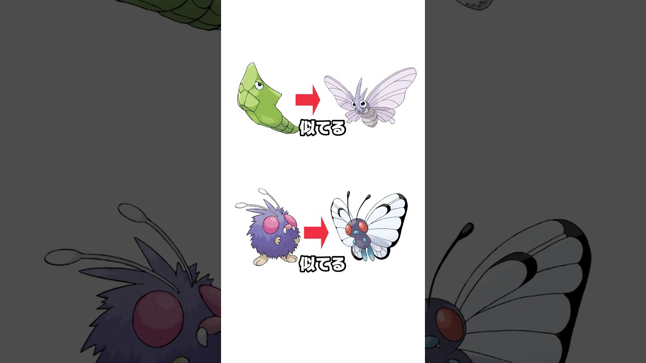 バタフリーとモルフォンが逆かもしれない理由3選　#都市伝説　#ポケモン　#バタフリー