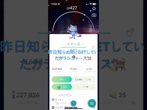 昨日知らぬ間にGETしていたガラルニャース🐈