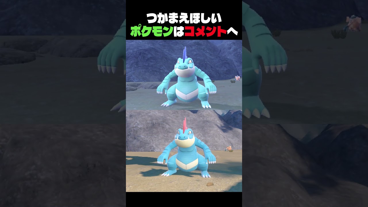 色違いのワニノコがすごすぎる