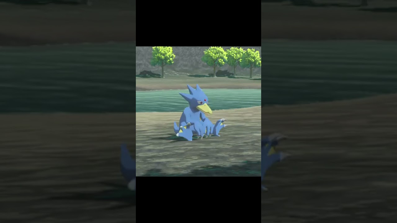 リラックスしている野生のゴルダック　#Shorts