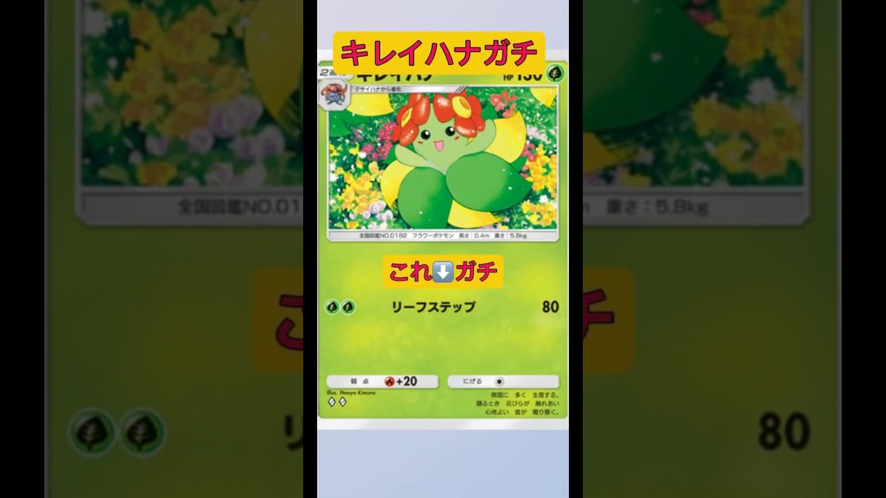 まさかの誰も使ってないキレイハナがガチアタッカー！！#ポケポケ #ポケモン #shorts
