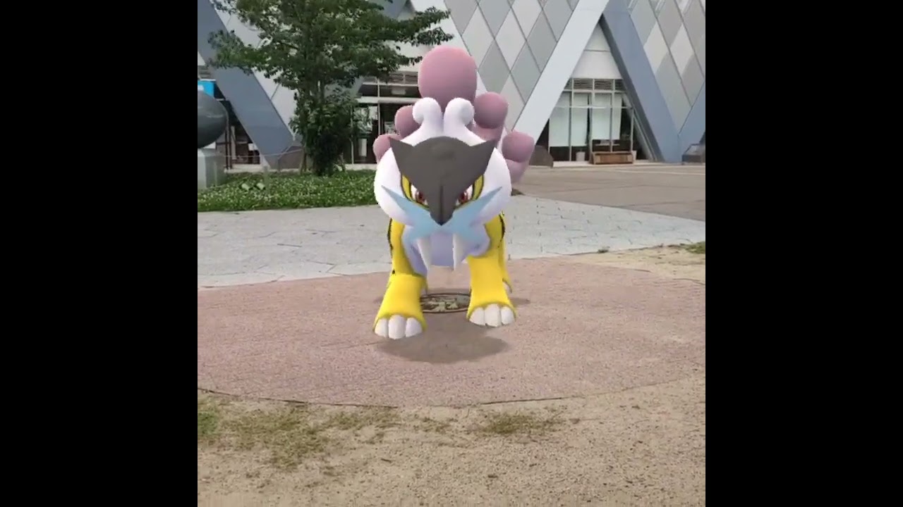 라이코 ( Raikou ) ライコウ ( 雷公 )