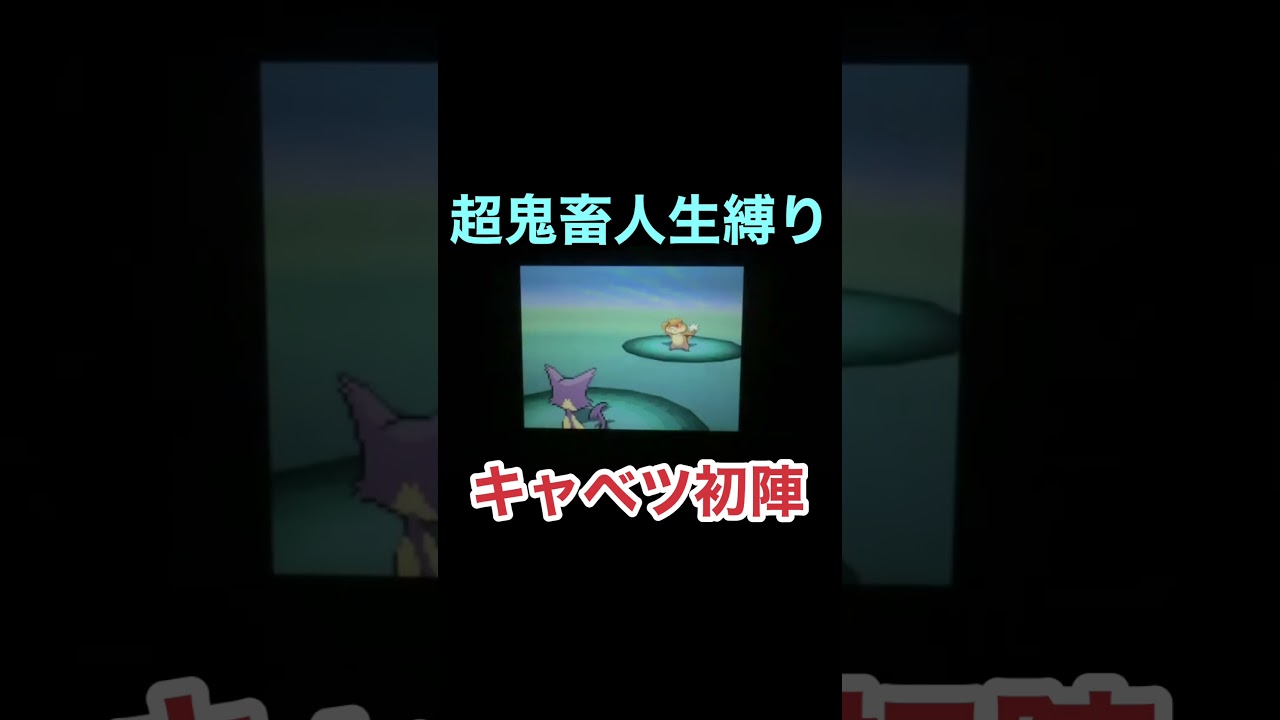 チョロネコ初戦 #ポケモン #ゲーム実況 #ポケモンbw #pokemon #ポケモンsv #ポケカ