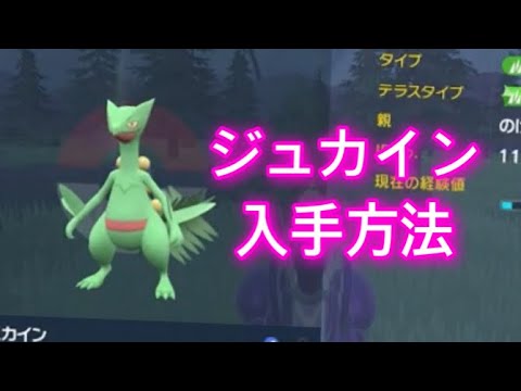 【ポケモンSV】【藍の円盤】ジュカイン入手方法