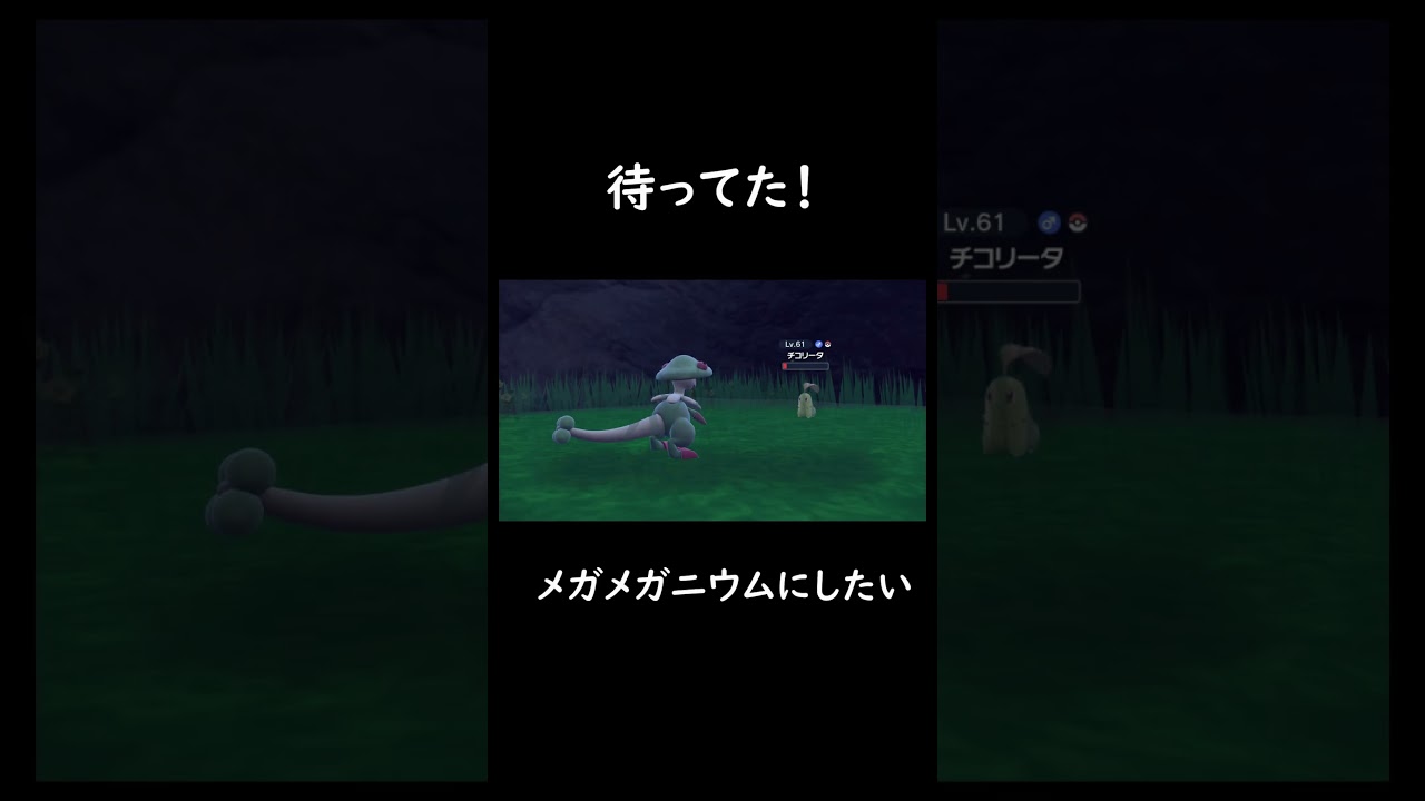 ずっと色チコリータを待っていた【ポケットモンスタースカーレット】　#Shorts #ポケモン #ポケモンsv