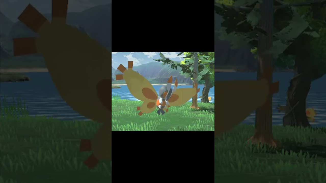 寝ている野生のガーメイル　#Shorts