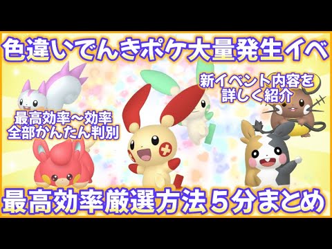 色違いでんきポケモンイベ最高効率厳選5分まとめ #ポケモンsv #最高効率 #色違い #デデンネ #パモ #パチリス ＃モルペコ ＃プラスル ＃マイナン