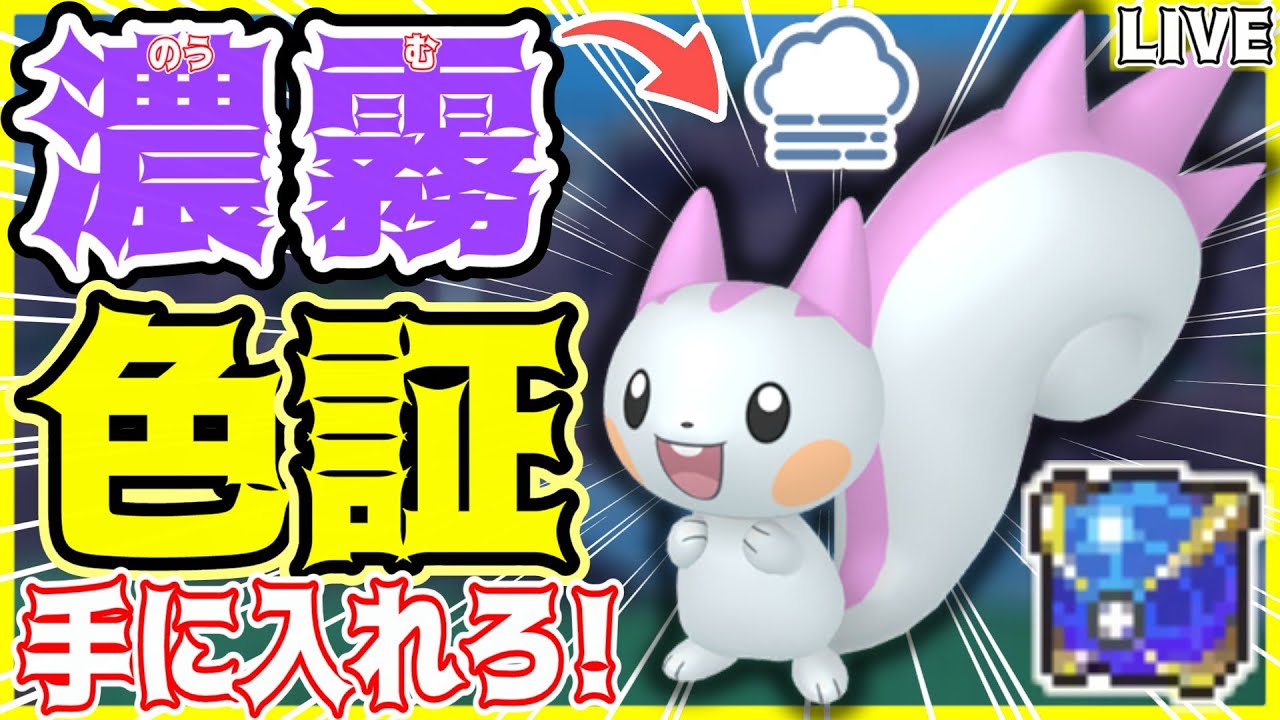 【ポケモンSV】初見さん大歓迎✨緊急ミッション!!濃霧の色証"パチリス"を探せ‼️【色パチリス/ウルボ/#色違い厳選 】