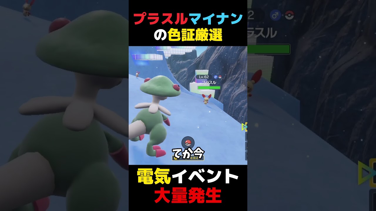 「限定証」を目指してプラスルとマイナンの色証厳選をします【ポケモンSV】【大量発生】