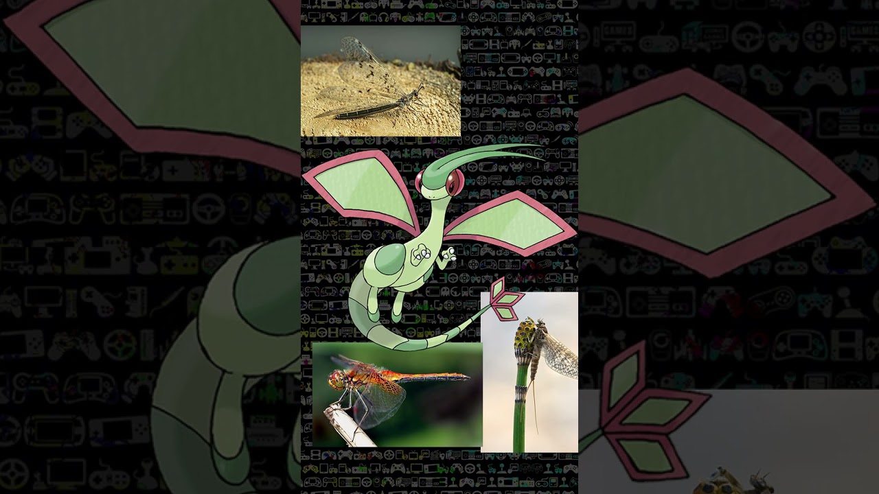 Die Herkunft aller Pokemon - Generation 3 Hoenn Part 13