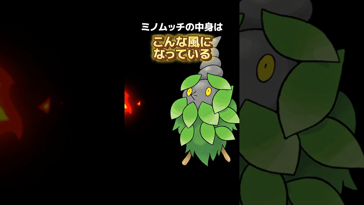 ポケモンの雑学3選Part307 #なぞはな #ポケモン #ポケモンカード #ポケモンオリジナルアニメ #ポケモンゲーム実況 #shorts #フォッコ #ミノムッチ #ミノマダム