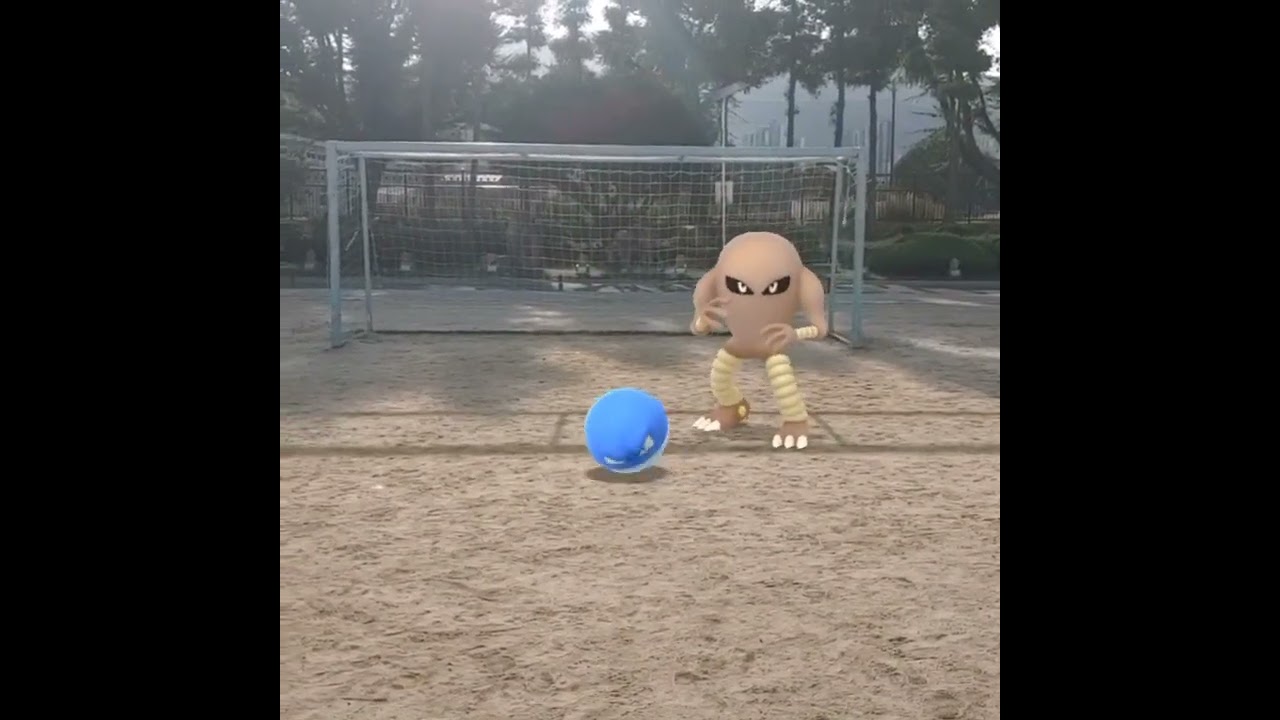 찌리리공+시라소몬 ( Voltorb+Hitmonlee ) ビリリダマ+サワムラー