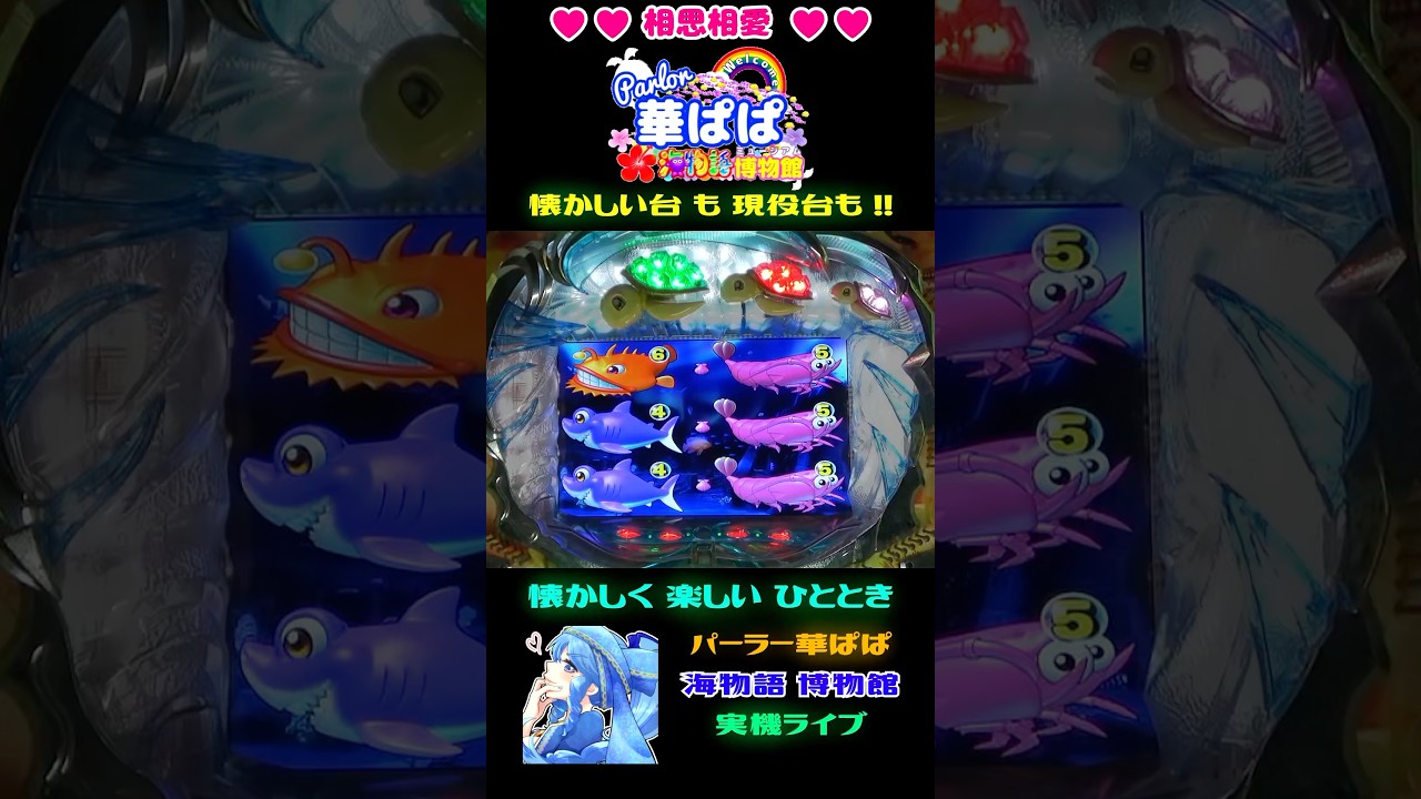 👀映像だけでごめんなさい👀🔥懐かしいクジラッキー枠「ボタン硬化」🔥✨泡＆魚群なしSPリーチ発展✨🎯大当り濃厚🎯🐢新海物語 with アグネス・ラム・甘デジ🐢【 パーラー華ぱぱ 】ショート動画