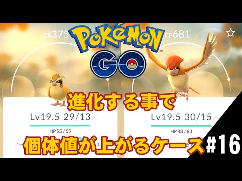 【ポケモンGO】ポッポ 進化の際、個体値が更に上がる場合がある。