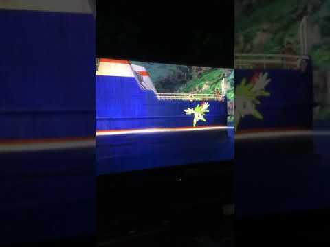 僕はシェイミスカイフォルム大好きー！