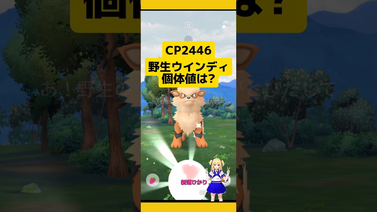 CP2446 野生ウインディを捕まえて個体値チェック！#ポケモンgo #ウインディ #野生レア#pokemongo #新道ひかり