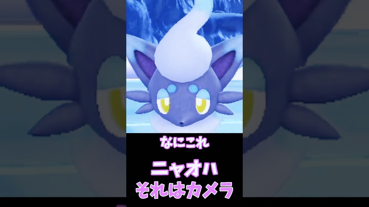 ニャオハ、ゾロアが撮影中にコンニチハ🦊📷【ポケモンSV】　#shorts