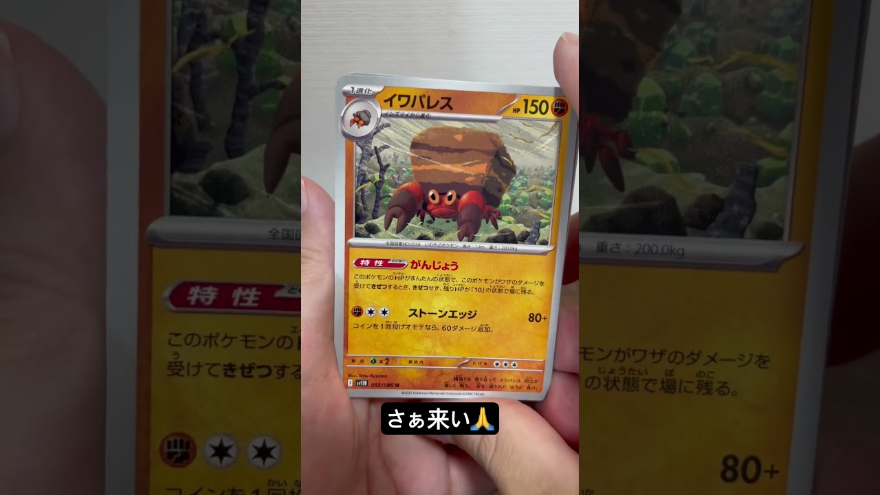 ゼクロムぅぅう🥳#ポケカ #ポケモン #pokemon