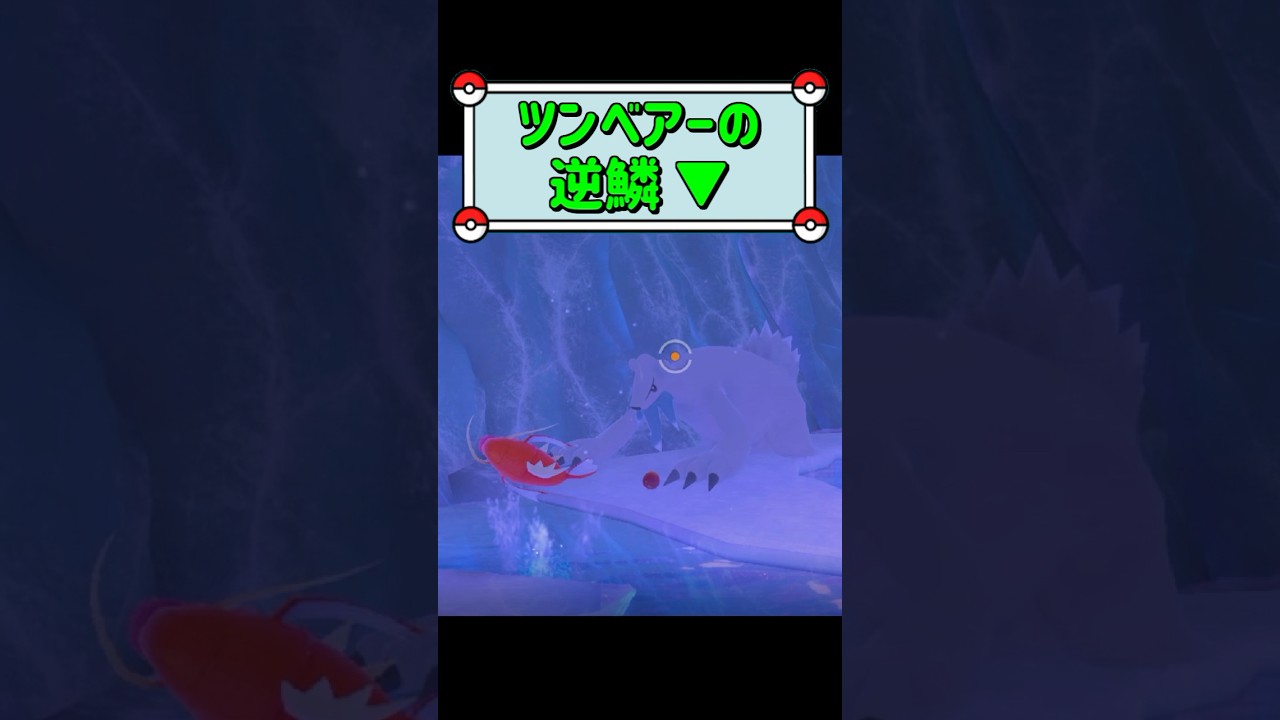 「ツンベアーの逆鱗 ▼」　#ポケモンスナップ　#ポケモン　#shorts