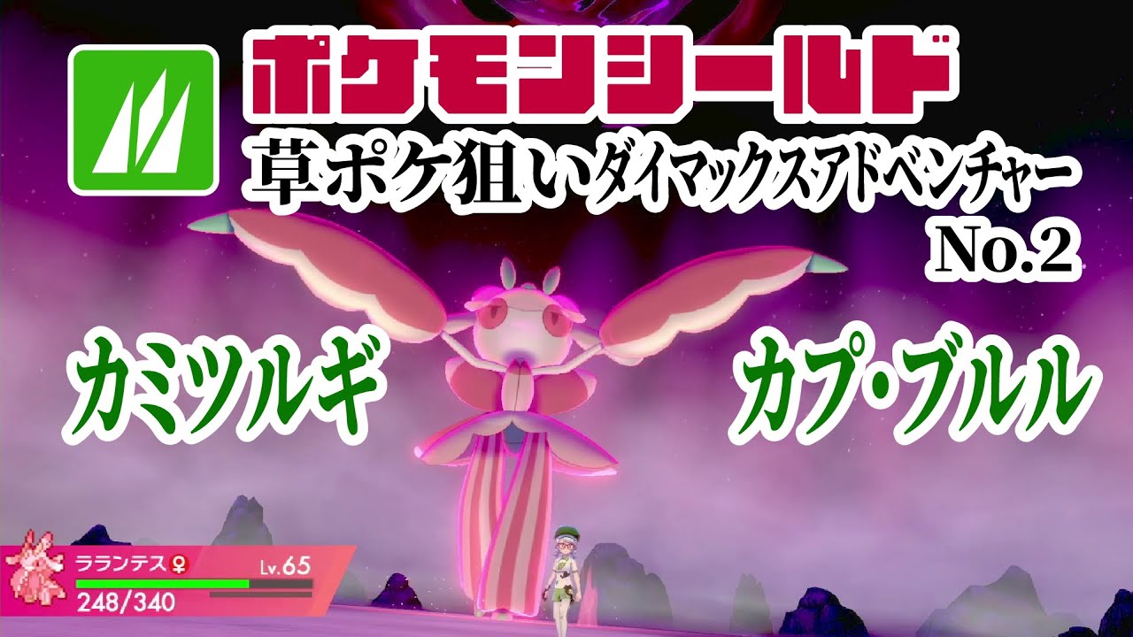 カミツルギ/カプ・ブルル探しダイアド No.2 2025/7/5 ポケモンシールド(剣盾)