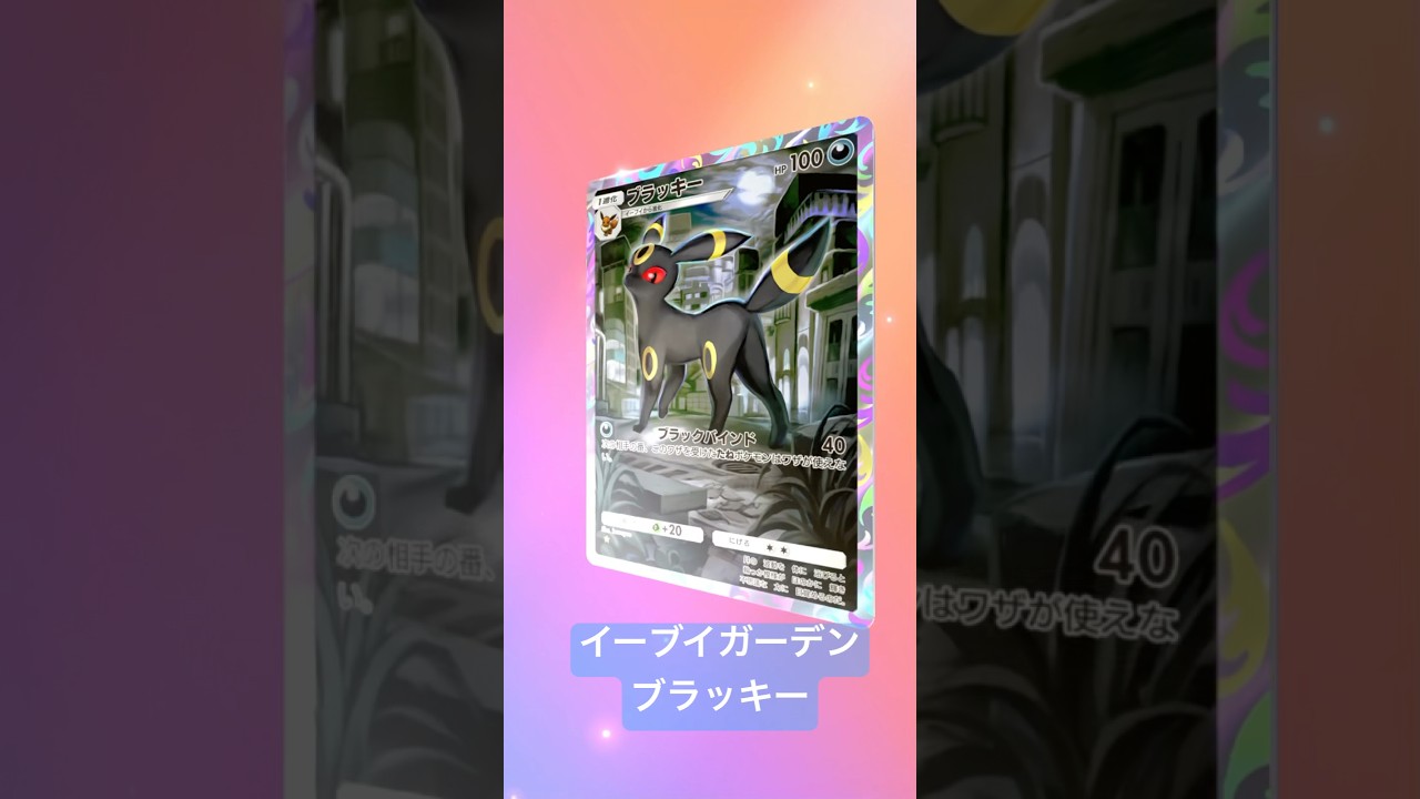 ポケモンカード　イーブイガーデン　　ポケカ　Pokémon TCG ブラッキー 　#ポケカ #ポケカ開封 #ポケモンカード #pokemon #pokémon #pokemontcgpocket